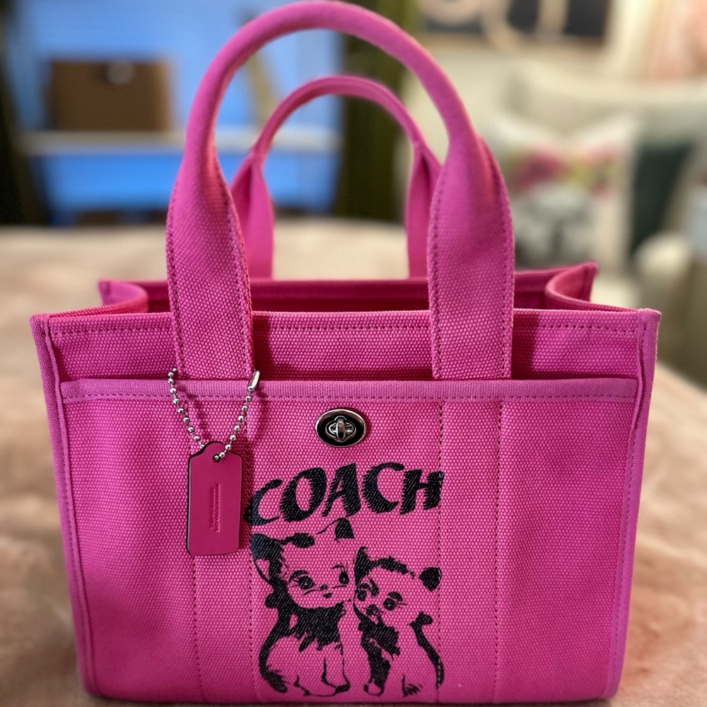 Lil Nas X kitten cargo canvas tote 26